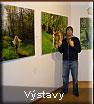 V�stavy
